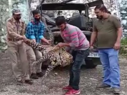 Uttarakhand: Leopard that had killed child shot dead | Uttarakhand: Leopard that had killed child shot dead