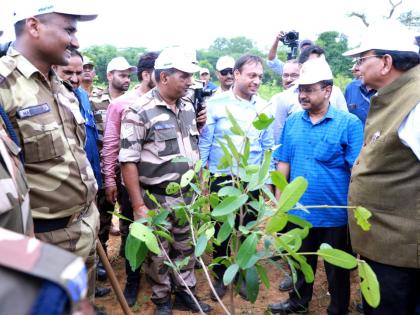 5.55 L saplings planted during Van Mahotsav in Delhi: L-G | 5.55 L saplings planted during Van Mahotsav in Delhi: L-G 5.55 L saplings planted during Van Mahotsav in Delhi: L-G | 5.55 L saplings planted during Van Mahotsav in Delhi: L-G