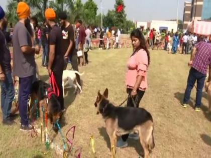 J-K: Sher-E-Kashmir University organises dog show | J-K: Sher-E-Kashmir University organises dog show