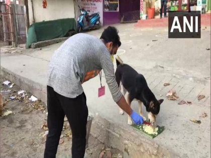 Volunteers of 'Animal Welfare People' feed dogs in Dibrugarh | Volunteers of 'Animal Welfare People' feed dogs in Dibrugarh