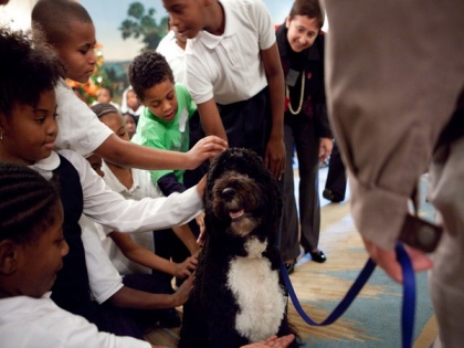 Obama announces death of former US 'first dog' Bo, says 'lost true friend' | Obama announces death of former US 'first dog' Bo, says 'lost true friend'