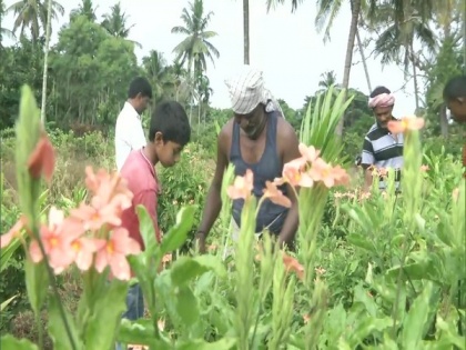 COVID-19 impact: Flower growers in Karnataka seek govt aid | COVID-19 impact: Flower growers in Karnataka seek govt aid
