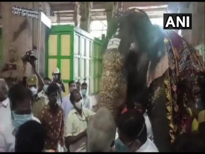 TN ministers, veterinary experts visit Madurai's Meenakshi Amman Temple to review condition of elephant Parvati | TN ministers, veterinary experts visit Madurai's Meenakshi Amman Temple to review condition of elephant Parvati