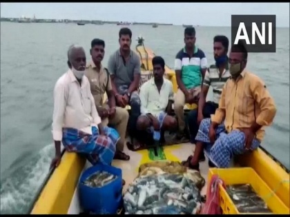Boat with 500 kg sea cucumber heading towards Rameswaram intercepted, one held | Boat with 500 kg sea cucumber heading towards Rameswaram intercepted, one held