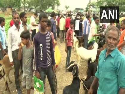 Lucknow's goat market witnesses large crowds ahead of Eid-ul-Azha | Lucknow's goat market witnesses large crowds ahead of Eid-ul-Azha
