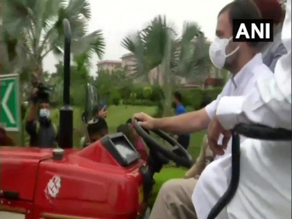 Rahul Gandhi drives tractor to Parliament, says ' brought farmers' message' | Rahul Gandhi drives tractor to Parliament, says ' brought farmers' message'