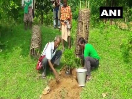 Odisha: 72-year-old Tree Teacher plants more than 30,000 trees over 60 years | Odisha: 72-year-old Tree Teacher plants more than 30,000 trees over 60 years