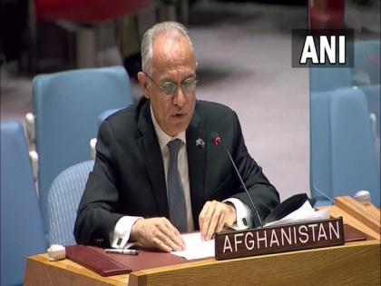 UN should not recognise govt formed by Taliban: Afghan envoy to UN | UN should not recognise govt formed by Taliban: Afghan envoy to UN