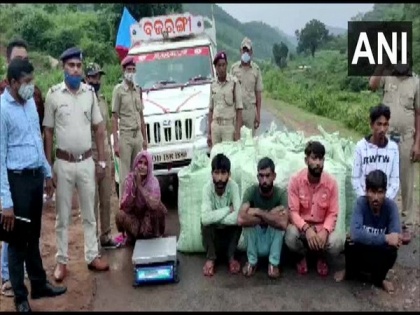 Police arrest 26 people in Odisha's Gajapati, seize ganja worth Rs 1.5 crore | Police arrest 26 people in Odisha's Gajapati, seize ganja worth Rs 1.5 crore