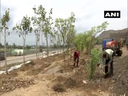 Ahmedabad's dump yard being converted into green zone | Ahmedabad's dump yard being converted into green zone