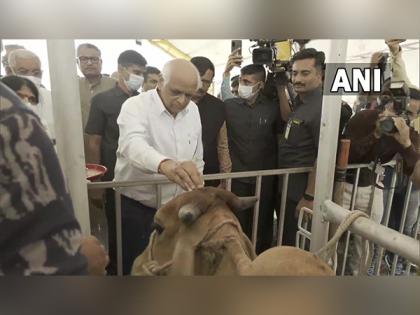 Bhupendra Patel visits lumpy virus vaccination centre as disease spreads out in Gujarat | Bhupendra Patel visits lumpy virus vaccination centre as disease spreads out in Gujarat