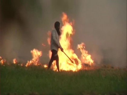 More stubble burning recorded this year till Oct 21: PRSC | More stubble burning recorded this year till Oct 21: PRSC