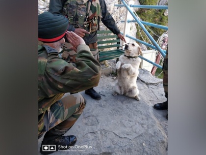 Story behind viral picture of the dog 'Menaka' saluting top Army Commander | Story behind viral picture of the dog 'Menaka' saluting top Army Commander