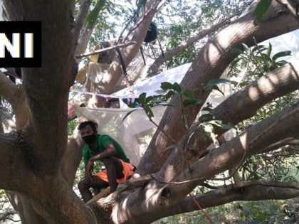WB labourers who recently returned to village quarantine themselves on tree | WB labourers who recently returned to village quarantine themselves on tree