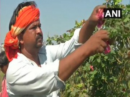 Gujarat Flower farmers appeal to Centre to tide over losses due to COVID-19 lockdown | Gujarat Flower farmers appeal to Centre to tide over losses due to COVID-19 lockdown