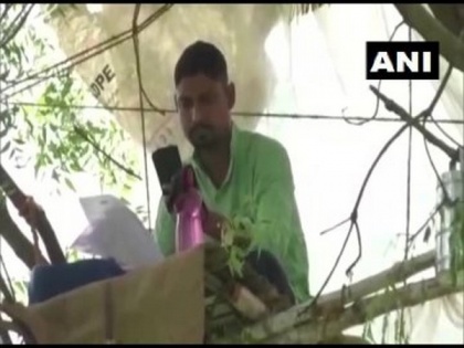 West Bengal teacher creates workspace on tree to beat 'network issues', conduct online classes | West Bengal teacher creates workspace on tree to beat 'network issues', conduct online classes