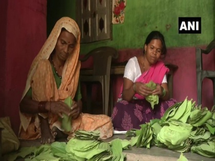 44 village panchayats in Maharashtra join hands to auction tendu leaves, bring higher income to tribal villagers | 44 village panchayats in Maharashtra join hands to auction tendu leaves, bring higher income to tribal villagers
