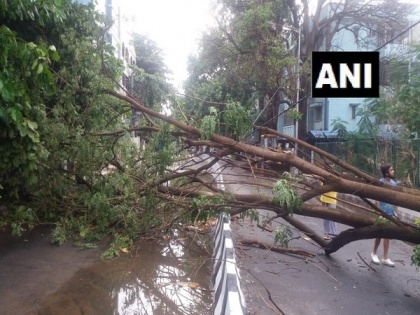 Heavy rain lashes Bengaluru, uproots trees | Heavy rain lashes Bengaluru, uproots trees