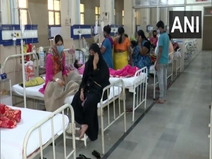 Telangana govt hospital records 40 dengue cases since Sept 1 | Telangana govt hospital records 40 dengue cases since Sept 1
