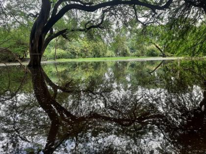 Delhi to be made city of lakes, says Gopal Rai | Delhi to be made city of lakes, says Gopal Rai