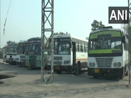 Ludhiana bus terminal wears deserted look due to weekend lockdown | Ludhiana bus terminal wears deserted look due to weekend lockdown