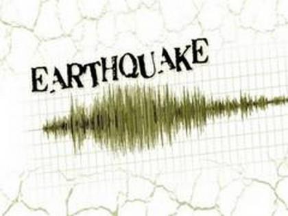 5.0-magnitude quake hits China's Xinjiang | 5.0-magnitude quake hits China's Xinjiang