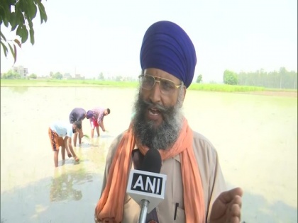Shortage of labourers hit paddy farming in Amritsar | Shortage of labourers hit paddy farming in Amritsar