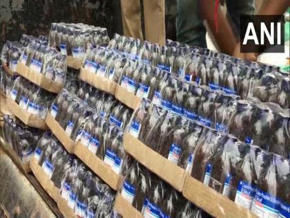 Tripura: Over 1000 bottles of contraband Escaf cough syrup seized, 3 held | Tripura: Over 1000 bottles of contraband Escaf cough syrup seized, 3 held