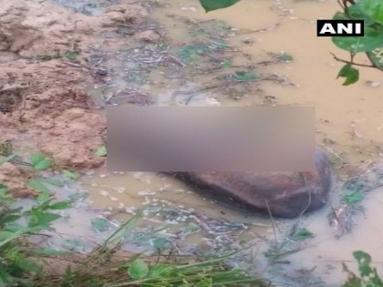 Baby elephant carcass found in Hemgir forest pond in Odisha | Baby elephant carcass found in Hemgir forest pond in Odisha