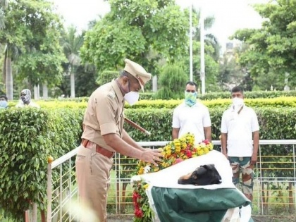 Beed dog that solved 365 police cases dies, gets final farewell | Beed dog that solved 365 police cases dies, gets final farewell