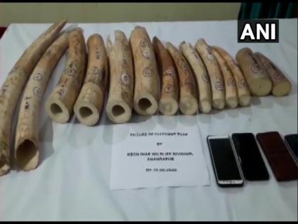 Three held with 19 kg elephant tusks in Odisha's Keonjhar | Three held with 19 kg elephant tusks in Odisha's Keonjhar