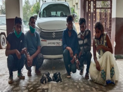 Five held with 7.5 kg opium in Jharkhand | Five held with 7.5 kg opium in Jharkhand