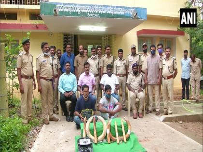 5 held, 9 hippopotamus tusks seized | 5 held, 9 hippopotamus tusks seized