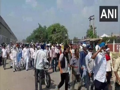 Haryana farmers protest against three agriculture ordinances | Haryana farmers protest against three agriculture ordinances