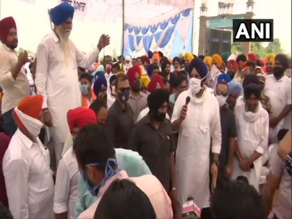 Farm Bills: SAD leader Bikram Singh Majithia attends protest in Amritsar | Farm Bills: SAD leader Bikram Singh Majithia attends protest in Amritsar