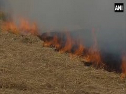 Amid air pollution concerns, farmers in Amritsar continue stubble burning | Amid air pollution concerns, farmers in Amritsar continue stubble burning