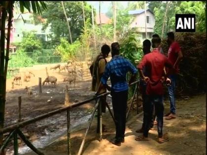 Zoos reopen in Kerala after several months of closure due to COVID-19 | Zoos reopen in Kerala after several months of closure due to COVID-19