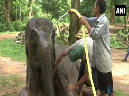 Assam zoo installs AC for animals to beat summer heat | Assam zoo installs AC for animals to beat summer heat