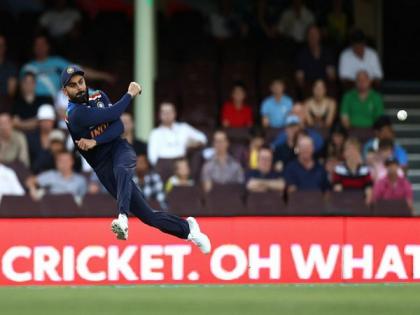 Ind vs Aus: Kohli probably best player I have ever seen, says Langer | Ind vs Aus: Kohli probably best player I have ever seen, says Langer