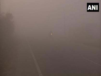 Amid cold wave, thick layer of fog engulfs parts of Punjab | Amid cold wave, thick layer of fog engulfs parts of Punjab Amid cold wave, thick layer of fog engulfs parts of Punjab | Amid cold wave, thick layer of fog engulfs parts of Punjab