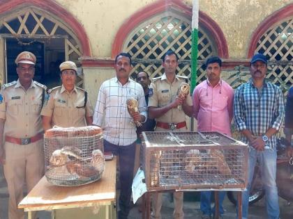 Man held with 15 barn owls in Hyderabad | Man held with 15 barn owls in Hyderabad Man held with 15 barn owls in Hyderabad | Man held with 15 barn owls in Hyderabad