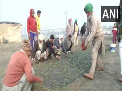 Protesting farmers use Nirankari Samagam ground in Burari to grow crops | Protesting farmers use Nirankari Samagam ground in Burari to grow crops Protesting farmers use Nirankari Samagam ground in Burari to grow crops | Protesting farmers use Nirankari Samagam ground in Burari to grow crops