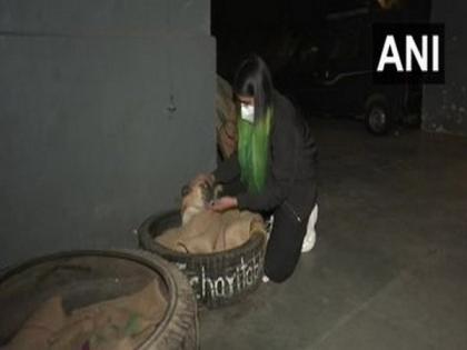 Delhi: Young vet student makes beds using tyres for dogs amid cold wave | Delhi: Young vet student makes beds using tyres for dogs amid cold wave Delhi: Young vet student makes beds using tyres for dogs amid cold wave | Delhi: Young vet student makes beds using tyres for dogs amid cold wave