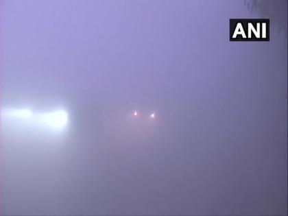 Delhi wakes up to dense fog on New Year's day | Delhi wakes up to dense fog on New Year's day