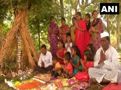 Yellu Amavasya celebrated in Karnataka's Kalaburagi with religious fervour | Yellu Amavasya celebrated in Karnataka's Kalaburagi with religious fervour