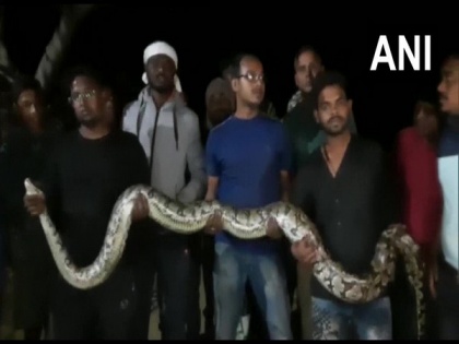 Two pythons rescued in Odisha's Berhampur | Two pythons rescued in Odisha's Berhampur