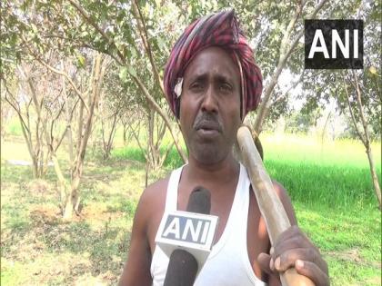 Man grows orchard of 10,000 trees on barren land in Bihar's Gaya | Man grows orchard of 10,000 trees on barren land in Bihar's Gaya