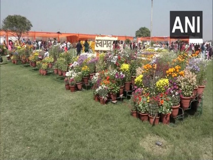 Agra's horticulture department organises flower exhibition, attracts many | Agra's horticulture department organises flower exhibition, attracts many