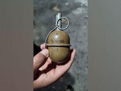 One terror associate held by security forces in J-K's Pulwama; hand grenade seized | One terror associate held by security forces in J-K's Pulwama; hand grenade seized