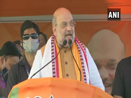'Gandhi siblings come for tourism to Assam; Priyanka plucks tea leaves that have'nt fully grown for photo session': Amit Shah | 'Gandhi siblings come for tourism to Assam; Priyanka plucks tea leaves that have'nt fully grown for photo session': Amit Shah